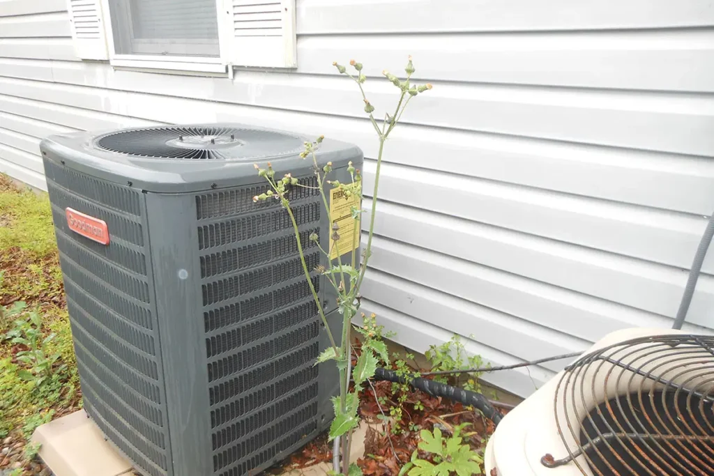 Outdoor air conditioning unit next to house siding with overgrown plants, energy efficiency label visible, home maintenance scene.